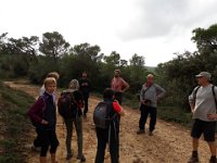 2018-11-12 14.06.27 (Grand)